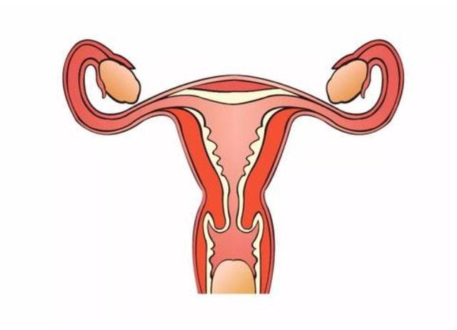 石女和正常人有区别吗她们能正常结婚生育吗看医生怎么说