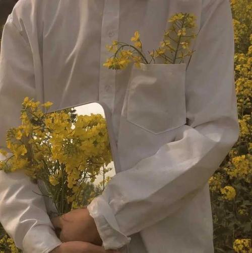 有没有类似这样的拿着花的头像?
