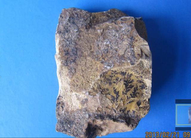 京津唐石友交流,滦河能捡到哪些种类的石头