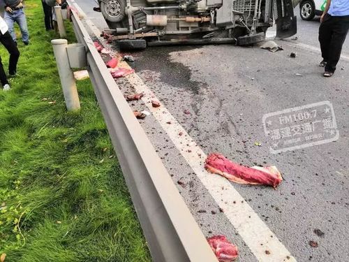 渣土车追尾面包车 猪肉满地滚
