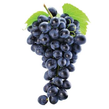 云南新鲜高山夏黑无籽葡萄1斤颗粒装串装自家果园种植现摘现发新鲜