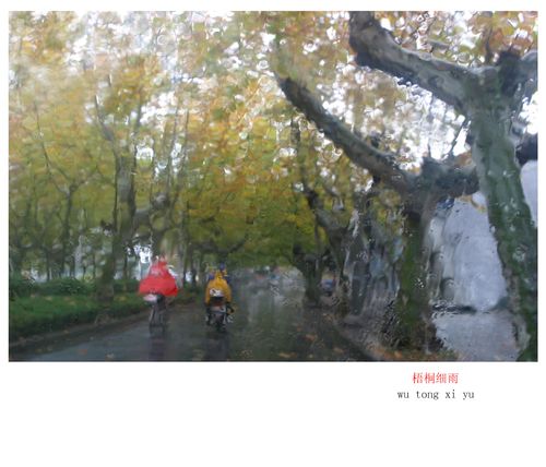 ctps.cn-- 梧桐细雨 秉烛听雨 秋天梧桐 雨