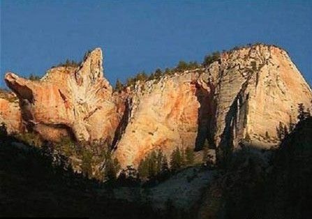 南斯拉夫境内的猫山 好像狐狸.