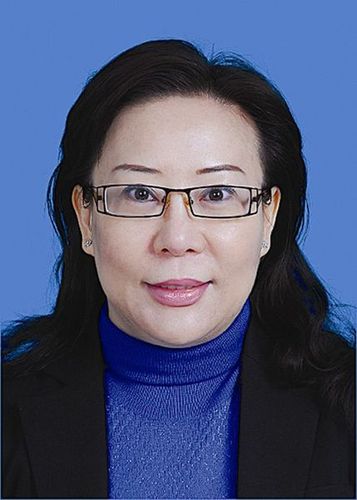 刘红兵的工作分工