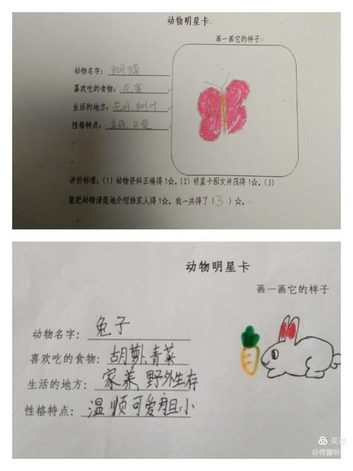 《动物明星卡》——海河小学一年级道德与法治主题教育活动(五)