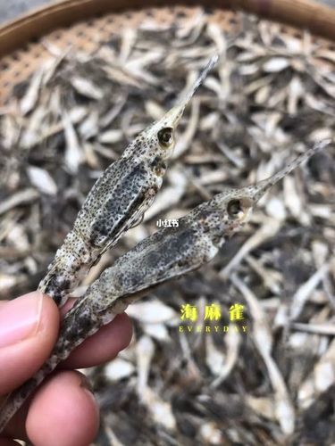 海麻雀_止咳_枇杷_石斛_滋阴_消炎_咽喉炎_罗汉果_化痰_止咳化痰_医疗