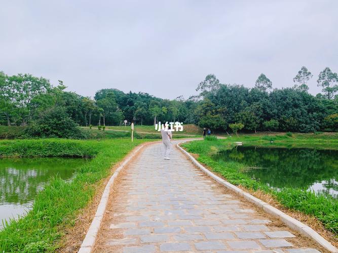 周末与大自然约会97深圳坪山河湿地公园_湿地公园_约会_草坪_休闲