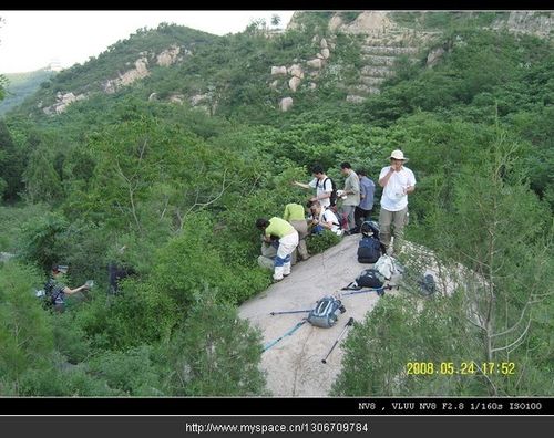 (图)杨佳和驴友出游时的照片