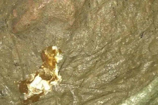 (2)坏死性肠炎:鸡群排黑色带血样粘液粪便.