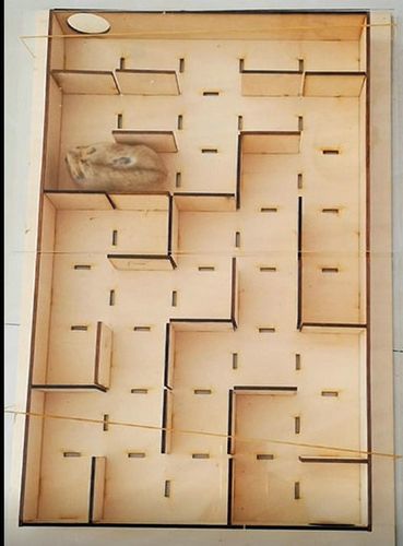 仓鼠迷宫 仓鼠玩具 木质组装迷宫