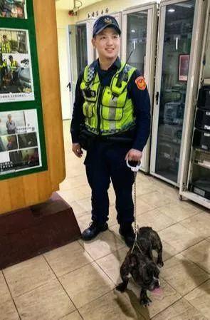 台湾派出所一位警察在值班时,突然一只虎斑纹的法国斗牛犬直接闯了