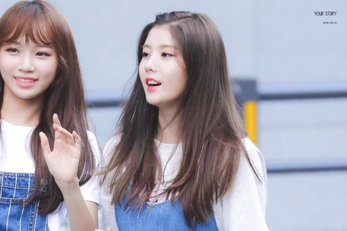 produce48权恩菲,,朝岁 - 堆糖,美图壁纸兴趣社区