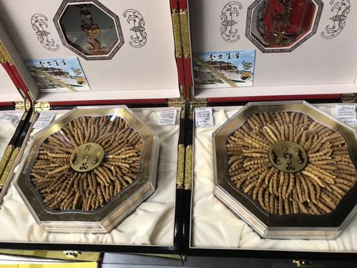 回收冬虫夏草动态