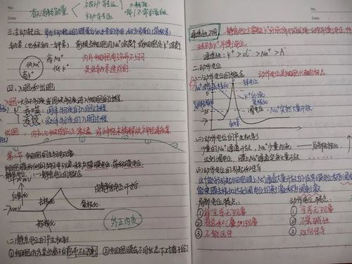 投票|叮!学习笔记上线请注意查收(第一弹)