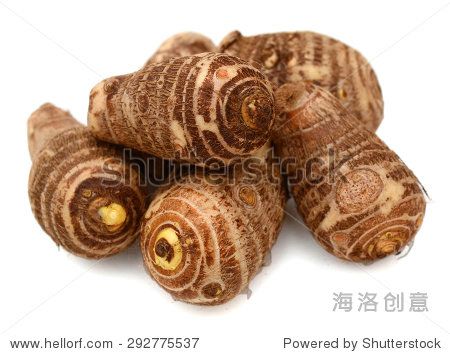 fresh taro roots (colocasia) on a white background