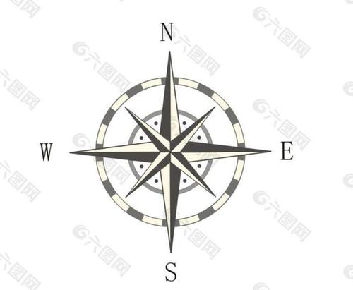 生长在沙漠里的"指北花"