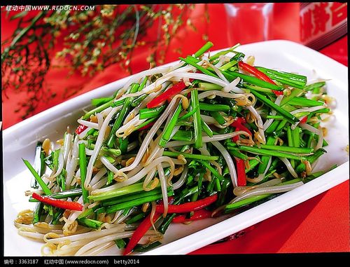 韭菜拌豆芽美食图片_中华美食图片