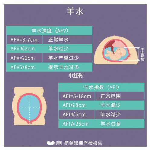 宫高腹围胎心羊水?