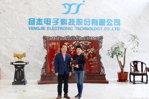 做好企业"贴心人",把奖章和服务一起送到家门口|扬杰科技|梁勤_网易