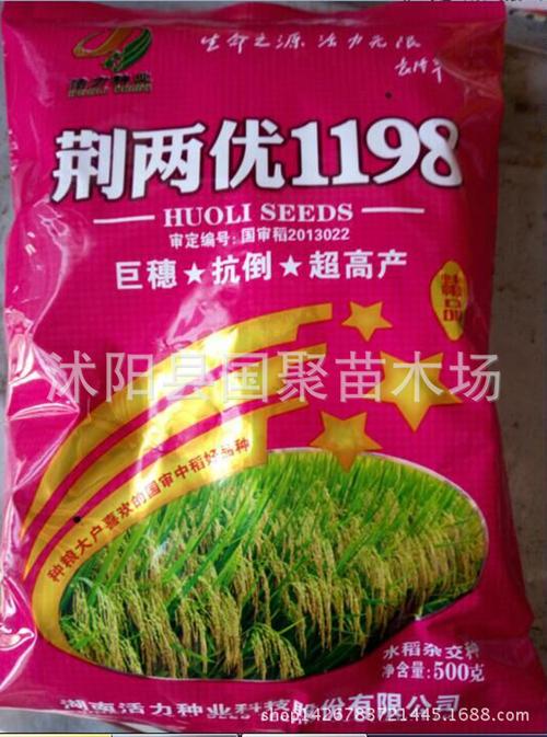批发郑旱6号高产旱稻种子 稻谷种子水稻种子高产高抗病稳产1400斤