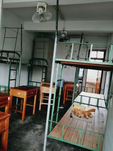 嘉应学院宿舍条件怎么样宿舍图片内景
