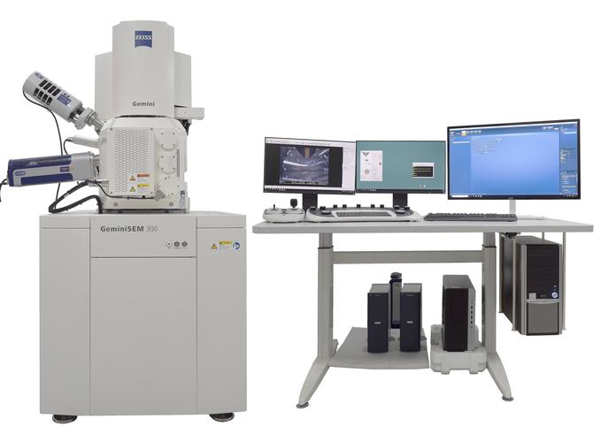 场发射扫描电子显微镜