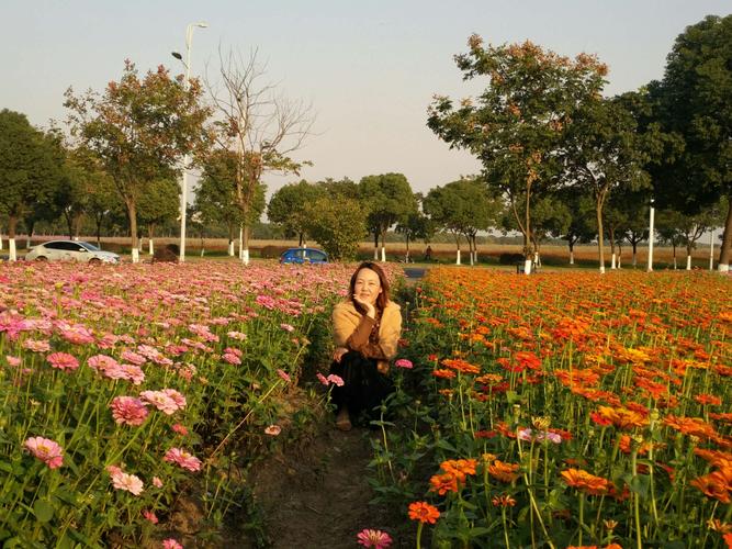 宛山荡湿地公园半日游