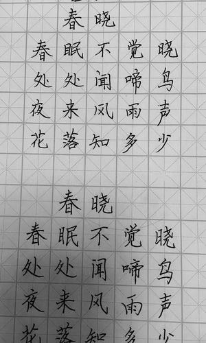 整体总之,硬笔正楷书法还是要靠练习的,谁写字的时间长,接触的早并不