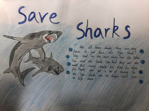 保护动物的英语海报