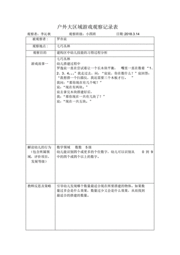 幼儿园小班观察记录表.pdf 3页