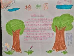 关注濒危动植物手抄报 关注安全手抄报