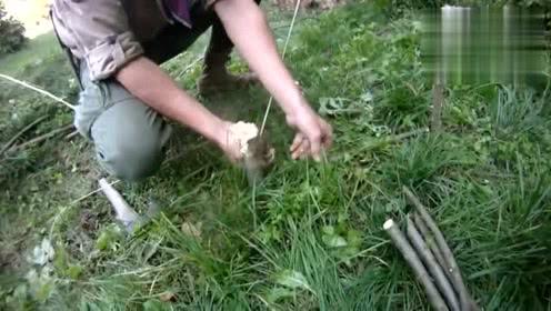 丛林生存,自制吊脚套和石板陷阱,学会了对你没坏处