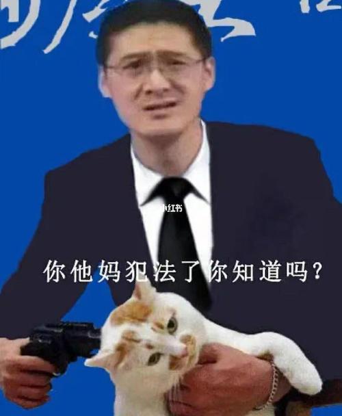 表情包1|罗老师在线搞笑_表情包_搞笑_罗翔_表情包分享_素材_表情包