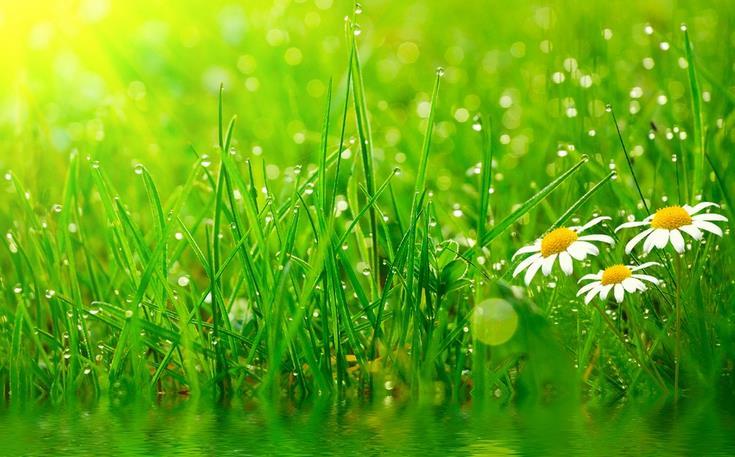 一个春天的早晨作文