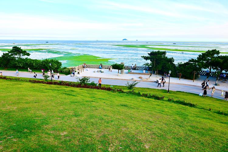 青岛小麦岛公园