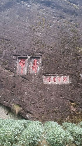 武夷山景区漫步,途经:牛栏坑,天心寺,鬼洞,留香涧,倒水坑,飞来峰,慧苑