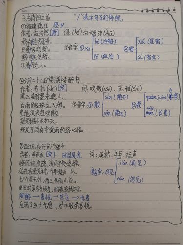 如何做笔记——六年级优秀复习笔记分享