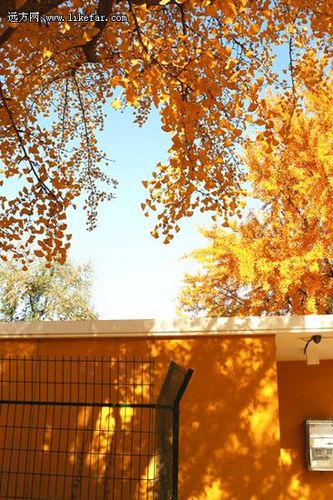 同类色 作者:waterhill