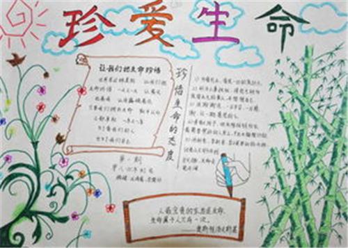 珍惜生命向阳生长这个手抄报 珍惜生命手抄报