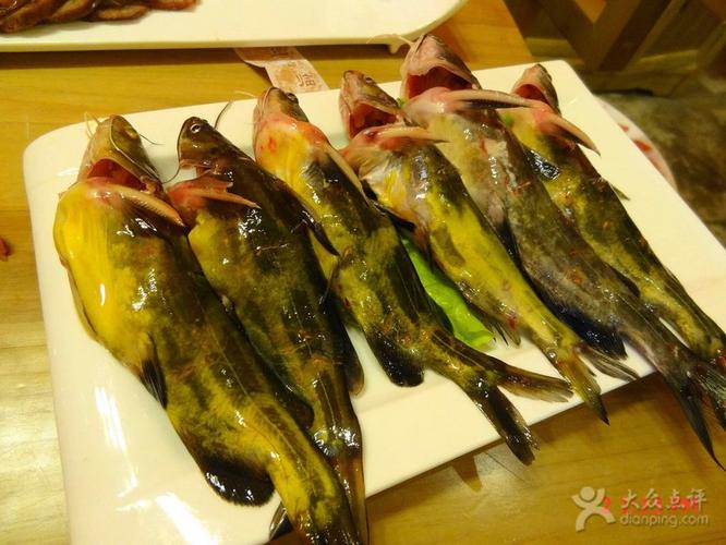黄辣丁