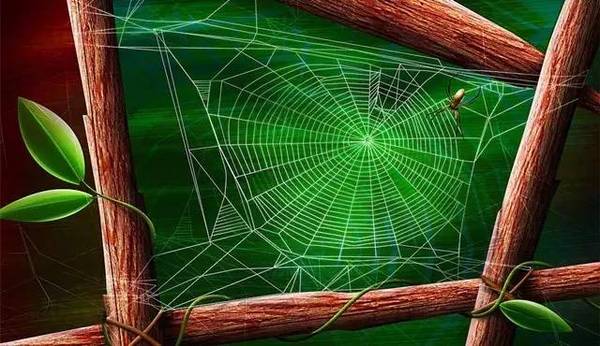 她经常带孩子们去户外观察蜘蛛网和蚂蚁.