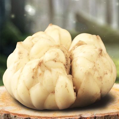 500g现挖鲜百合湖南土特产 仅需10.8元