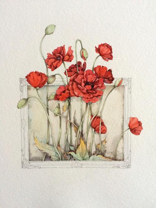 罂粟花(附带过程图 >,  )