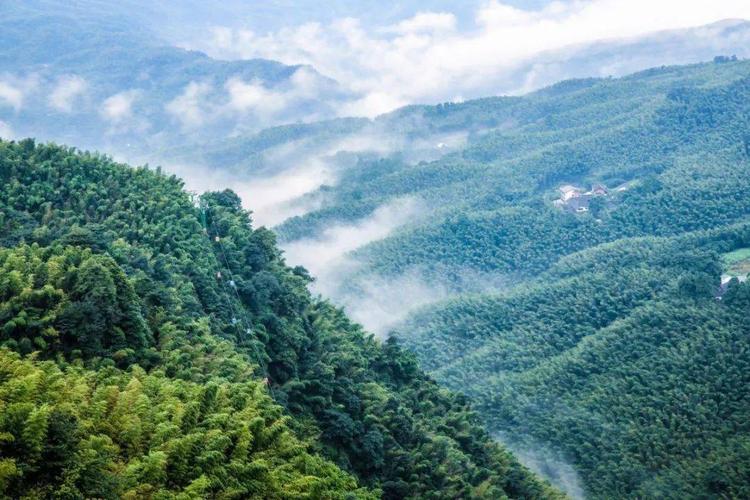 立秋丨凉风有信,邂逅蜀南竹海景区初现的那一抹秋意