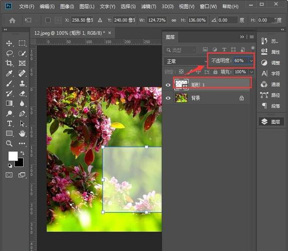 ps怎么给图片加半透明形状 ps中给图片加一层半透明图层教程