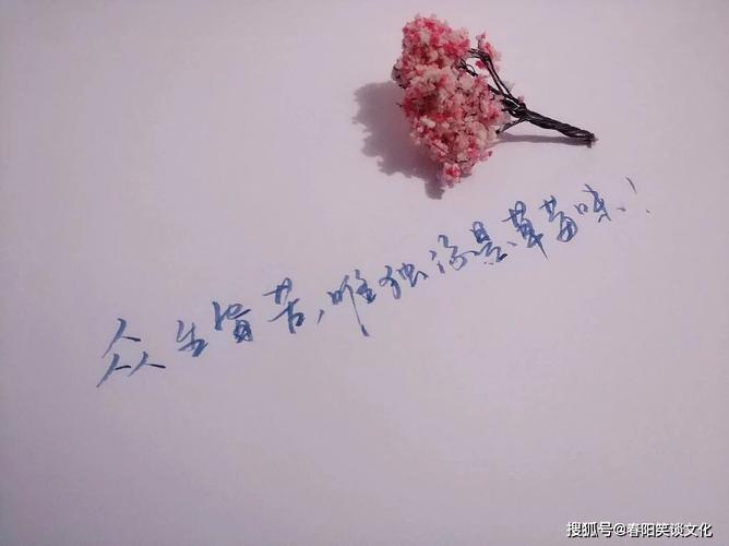 句句痛彻心扉的伤感句子,心痛到撕心裂肺,写哭了有故事的人