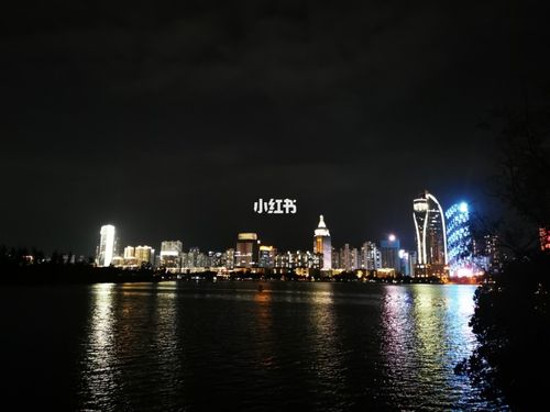 湖_夜游_夜景_白鹭洲公园_大海_旅行_建筑_厦门旅行_出行_出行攻略