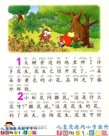 小松鼠找花生课件1