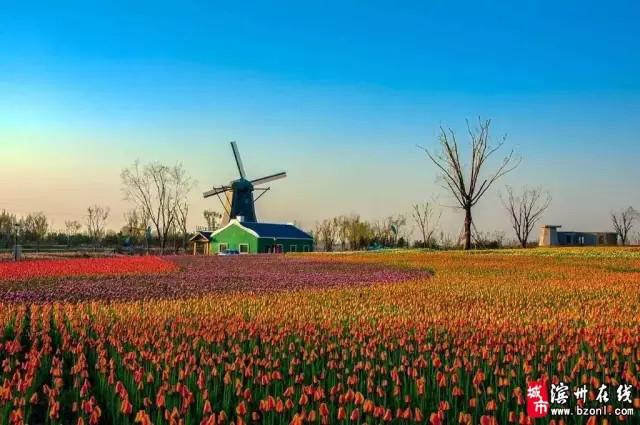 滨州 秦皇河公园