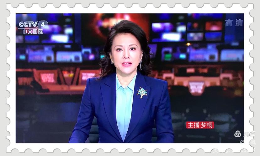 cctv  《中国新闻》主持人